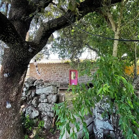 Σπίτι διακοπών Stazzumus Casa Piculiri